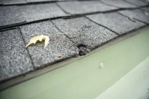 Did a Hail Storm Damage Your Roof?