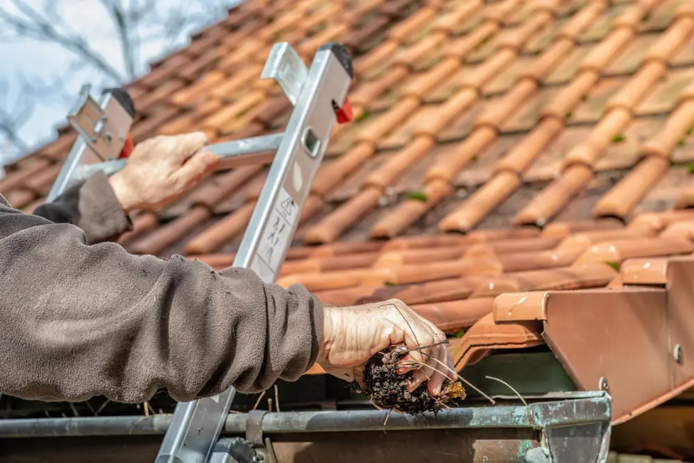 Read more about the article How To Clean Gutters: A Complete Guide