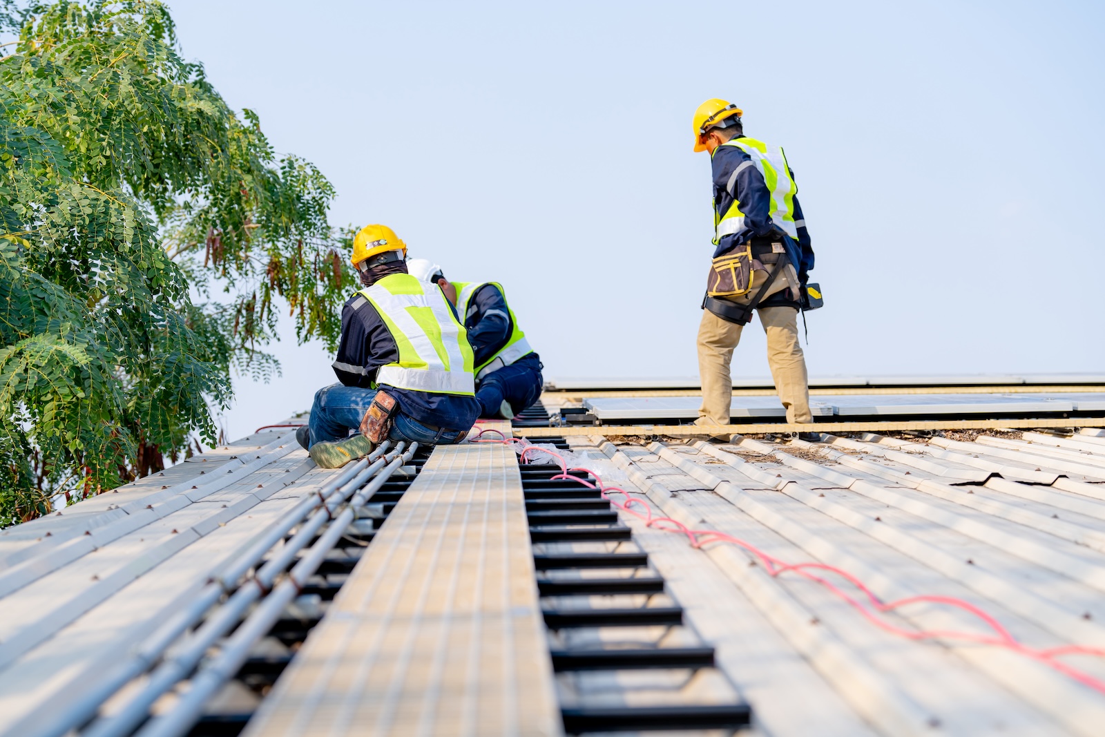 workers installing solar panels for efficient ene 2025 02 11 14 16 00 utc