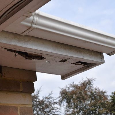 Rotten,Wood,On,Roof,Soffits,,Guttering,Above,And,Brick,Wall Rotten wood on roof soffits, guttering above and brick wall below. Sky and trees in background.