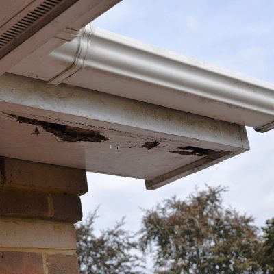 Rotten wood on roof soffits, guttering above and brick wall below. Sky and trees in background.